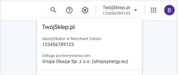 Przykład panelu Google Ads